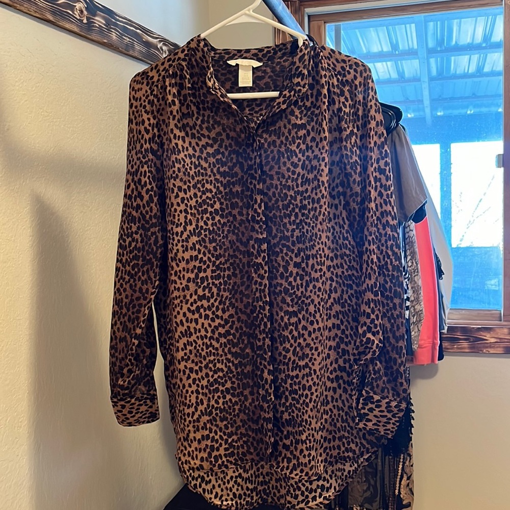 Sheer print blouse